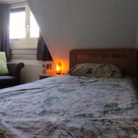 In Cozy House In